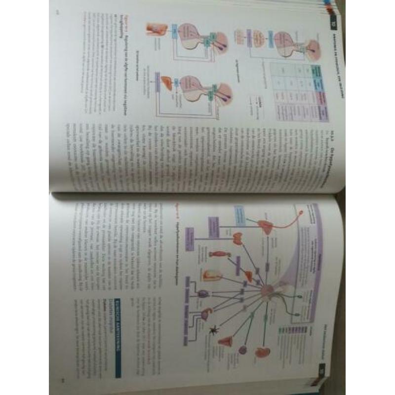 Anatomie en fysiologie, een inleiding
