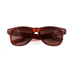 Wayfarer Zonnebril Bruin