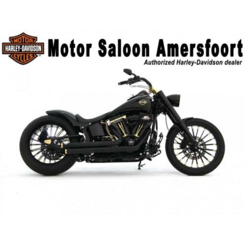 Harley-Davidson FLSTF SOFTAIL FAT BOY FATBOY (bj 2008)