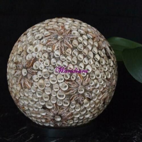 Schelpenlamp Bol - [Type 6]