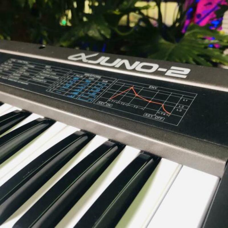 Roland Alpha Juno 2 Analoge Synthesizer
