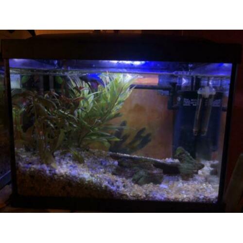 Aquarium superfish start 20 goldfish kit zwart