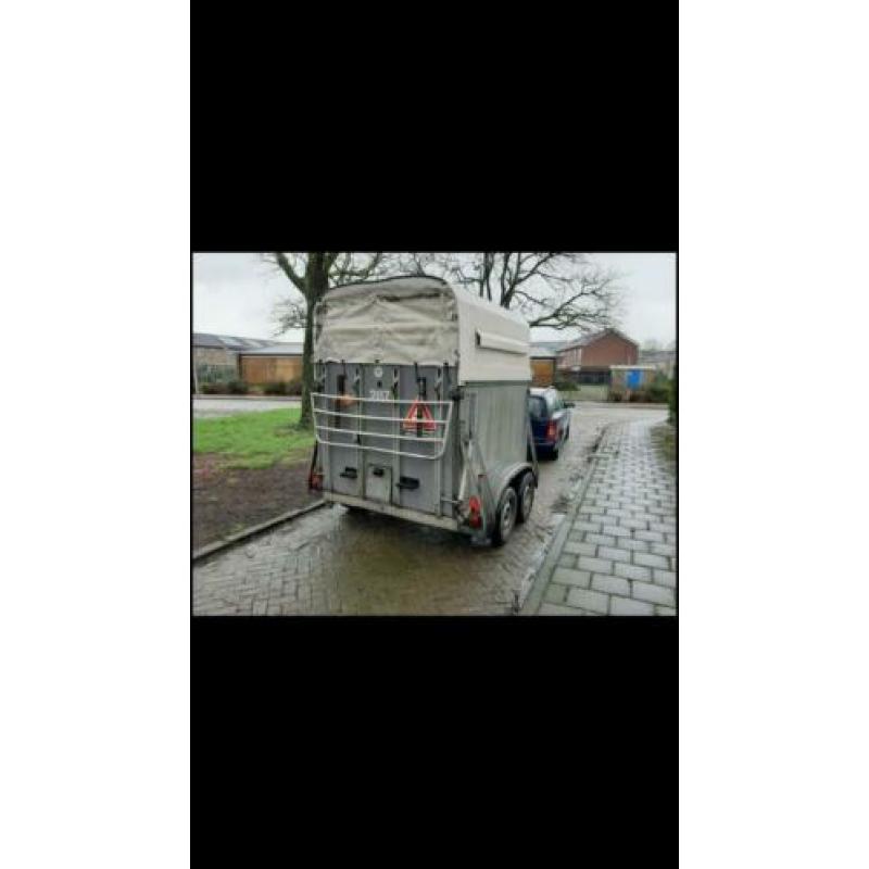Schuilplaats paarden schapen-geiten enz-enz
