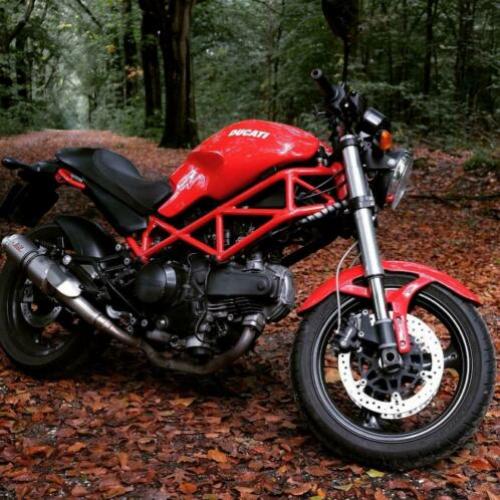 Ducati monster 695