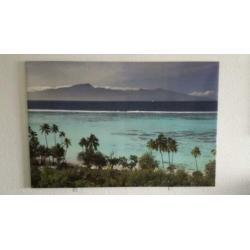 Badhanddoeken 60x110cm met washandjes en gastenhanddoeken