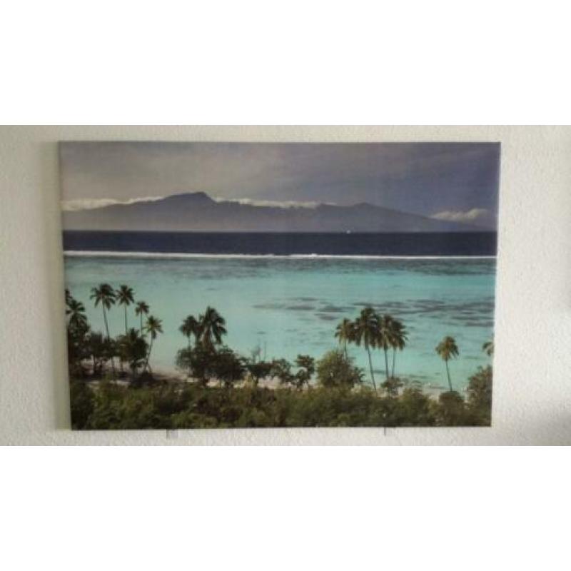 Badhanddoeken 60x110cm met washandjes en gastenhanddoeken