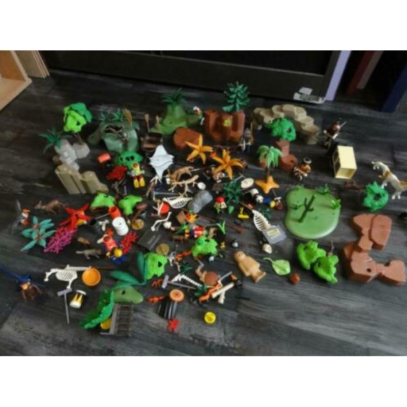 Heel Veel Playmobiel