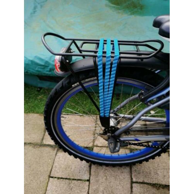 Batavus snake 22 inch, 3v