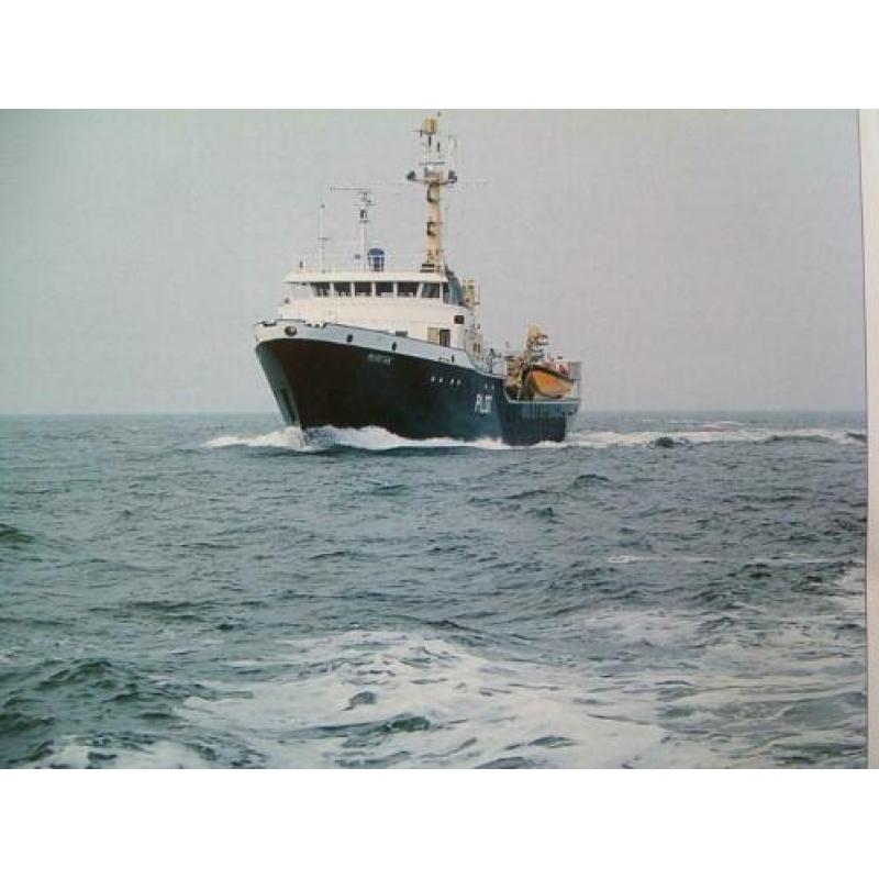 Het Nederlandse Loodswezen