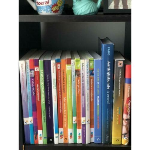 17 Studieboeken PABO Leerkracht Basisonderwijs Studie Boeken