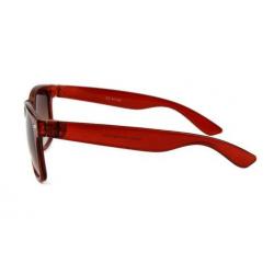 Wayfarer Zonnebril Bruin