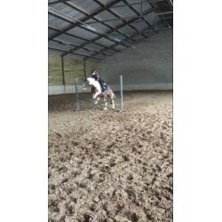 Recreatie pony C-formaat