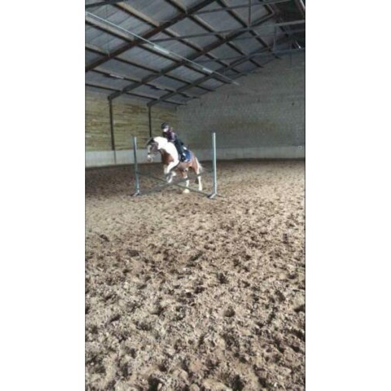 Recreatie pony C-formaat