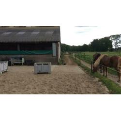 Direct aan t Leersums veld: weidegang met schuilstal