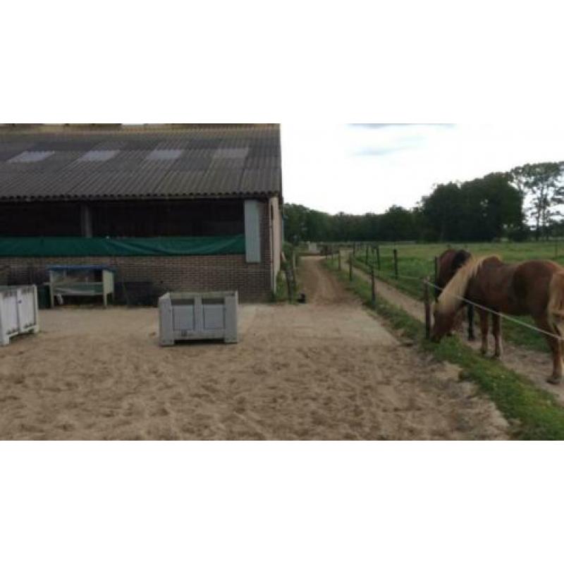 Direct aan t Leersums veld: weidegang met schuilstal