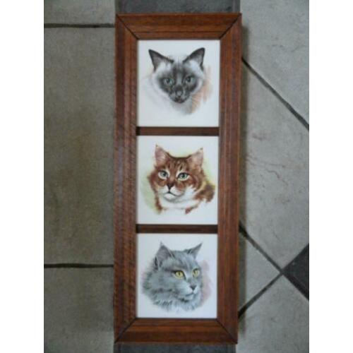 3 poezen tegels in houten lijst