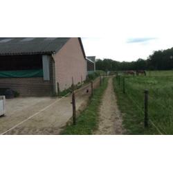 Direct aan t Leersums veld: weidegang met schuilstal