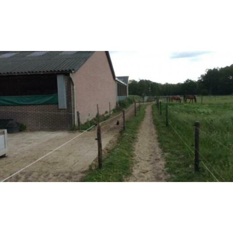Direct aan t Leersums veld: weidegang met schuilstal