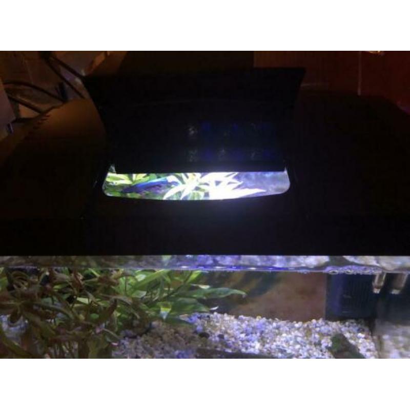 Aquarium superfish start 20 goldfish kit zwart