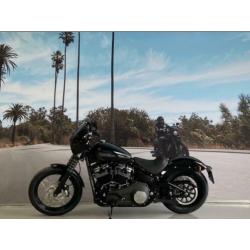 Harley-Davidson Street Bob FXBB 107'' 1746