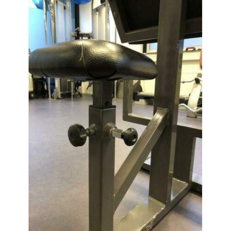 Panatta Scott bench-preacher curl bench