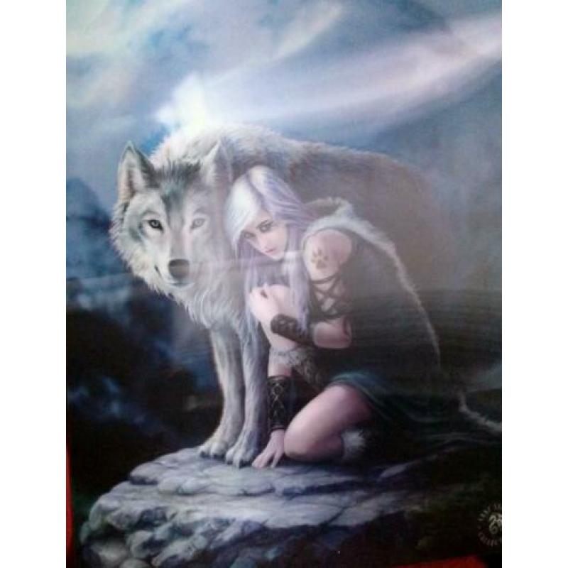 3 Posters met 3 D foto.s