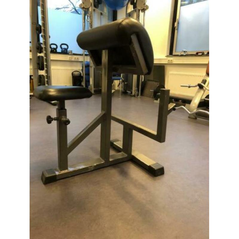 Panatta Scott bench-preacher curl bench