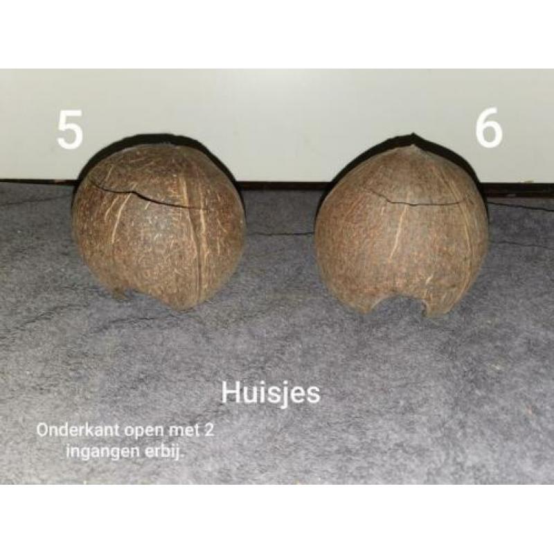 Huisjes