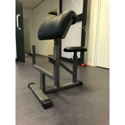 Panatta Scott bench-preacher curl bench
