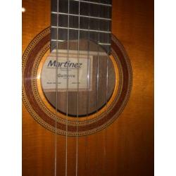 Gitaar