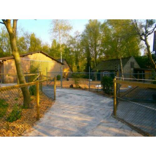 stalling en weidegang