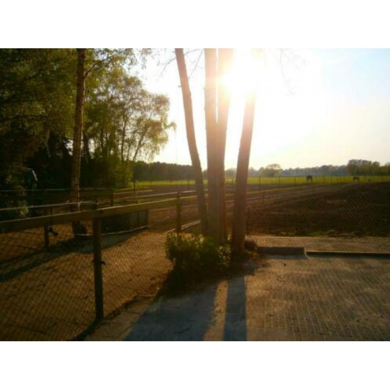stalling en weidegang