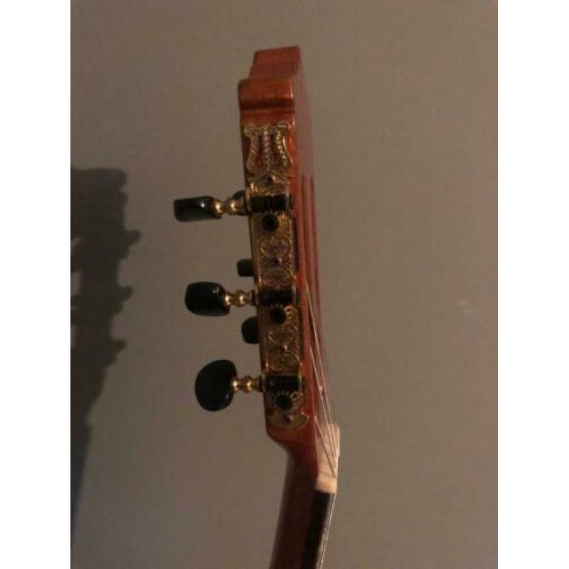 Gitaar