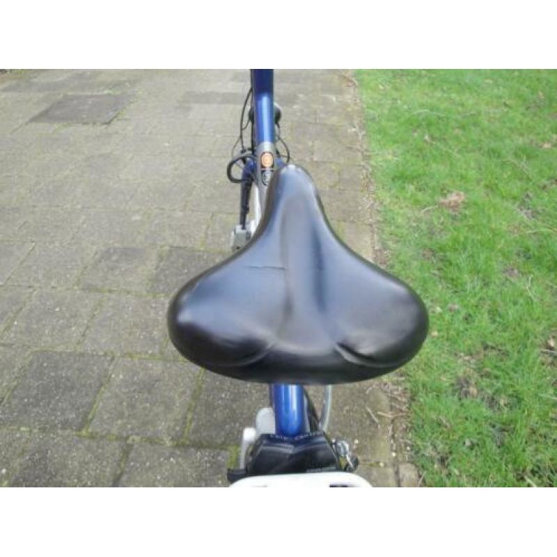Dames Giant