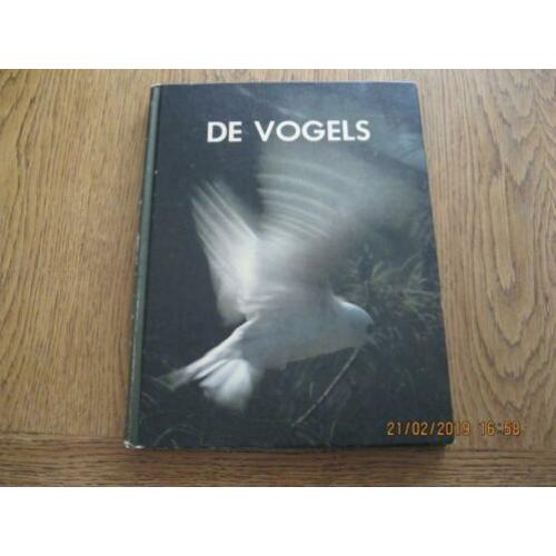 vogels.
