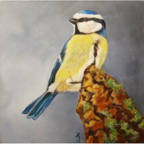 Schilderij pimpelmees 7 - eigen werk - vogelschilderij