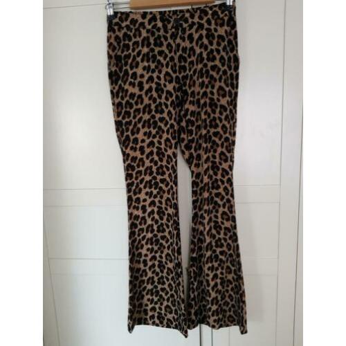Flare/flared broek van Costes luipaardprint/panter maat 36
