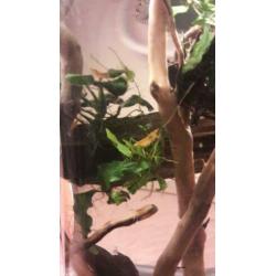 aquarium