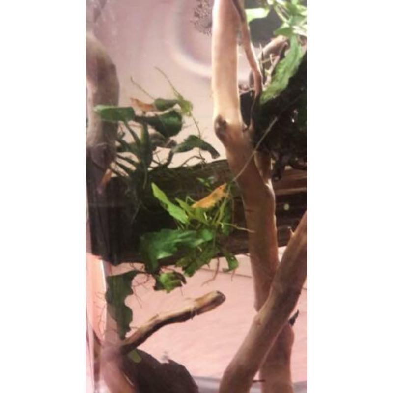 aquarium