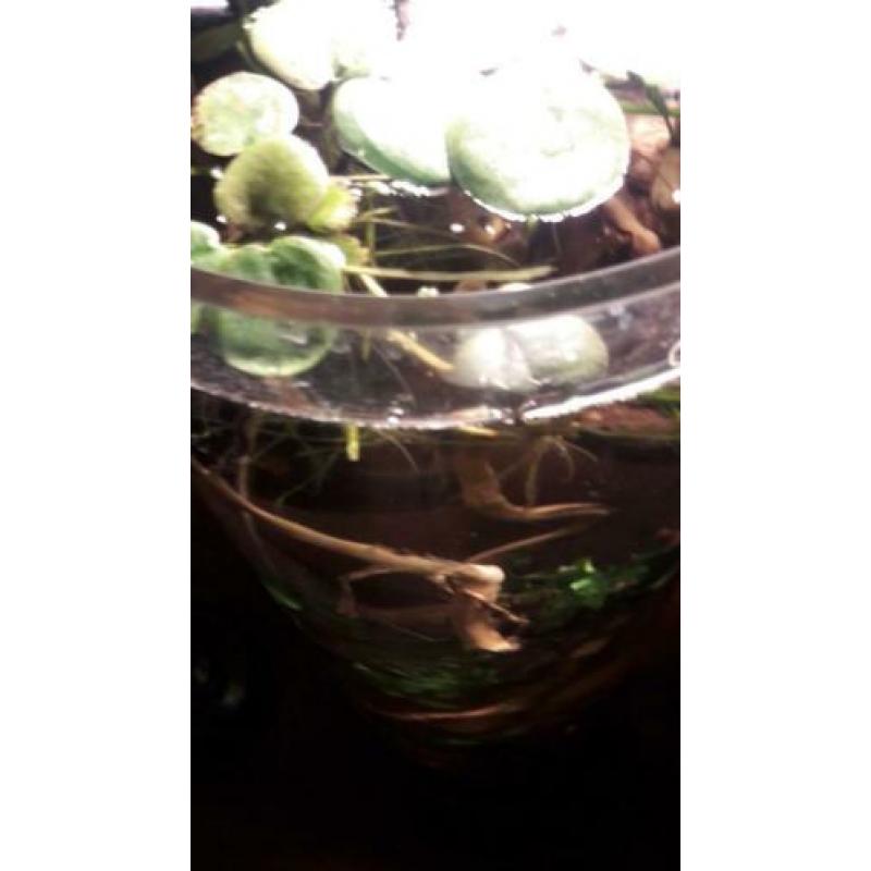 aquarium