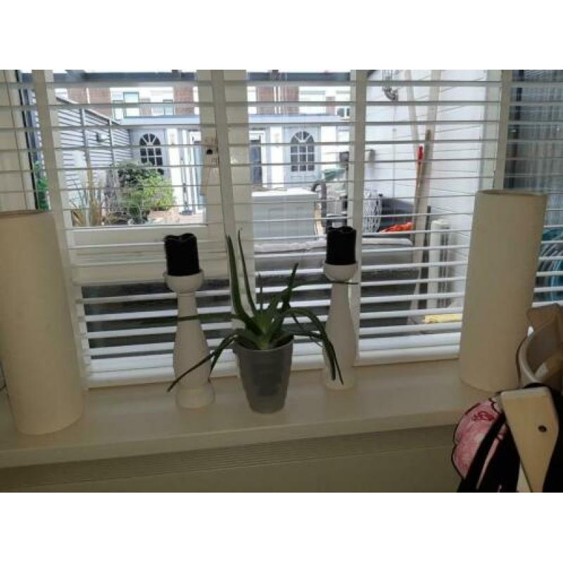 2 hoge ecru kleurige plantenpotten