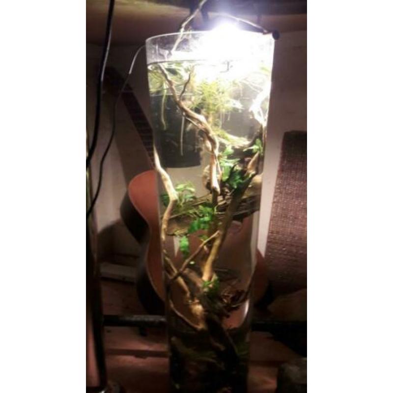 aquarium