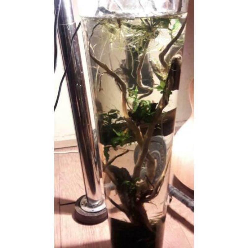 aquarium