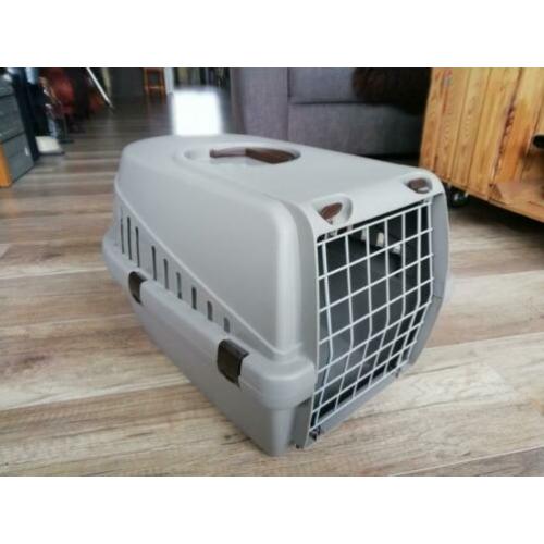 Reismand kat, konijn, kleine hond