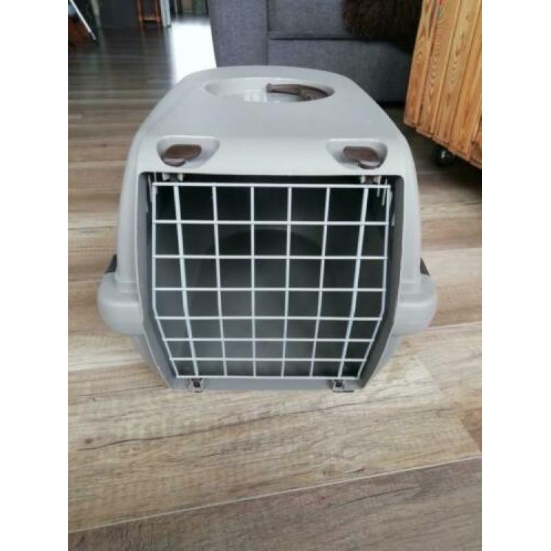 Reismand kat, konijn, kleine hond