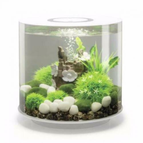 biOrb TUBE | 15 LED | Wit