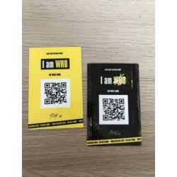Stray Kids - I am Who album met Felix en Han PC