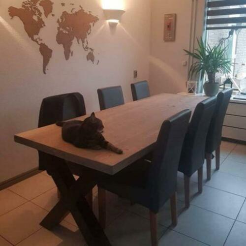 Tafel / Eettafel / tafels / bureau / vergadertafel / tv-kast