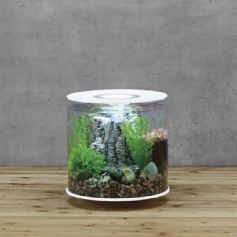 biOrb TUBE | 15 LED | Wit