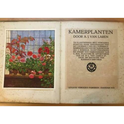 Boek Kamerplanten - 1928 - A.J. van Laren - Oorspronkelijk